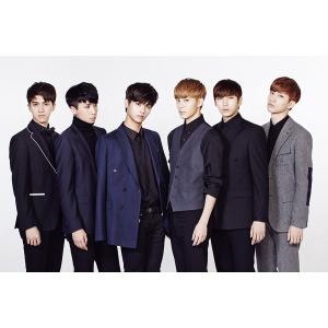 新品 送料無料 VIXX/ VIXXBOX GOODS SET ~for our fans~(日本盤/フォトカード+メイキングDVD+オリジナルスケジューラー+缶バッチ) N LEO｜red-monkey