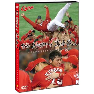 優良配送 篠塚和典の打撃バイブル 2DVD 読売巨人軍 ジャイアンツ PR