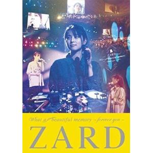 優良配送 2DVD ZARD What a beautiful memory forever you 坂井泉水