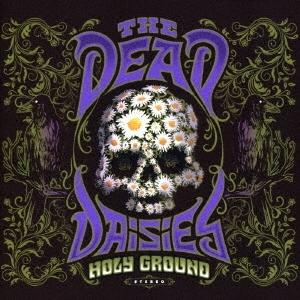 新品 国内盤 CD ザ・デッド・デイジーズ　ホーリー・グラウンド　The Dead Daisie　4...
