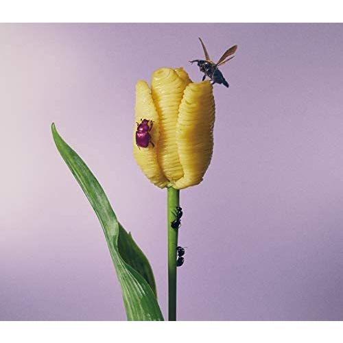 ボーナスストアPlus 10％対象 あいみょん CD おいしいパスタがあると聞いて 通常盤