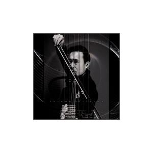 ボーナスストアPlus 10％対象 CD 平沢進 突弦変異