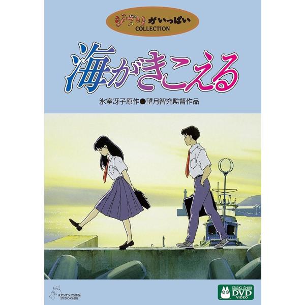 ボーナスストアPlus 10％対象 廃盤 海がきこえる DVD スタジオジブリ