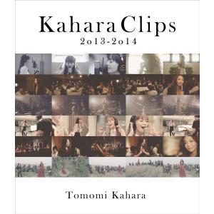 パブロック革命 : OREGAIRU工房 - 通販 - Yahoo!ショッピング