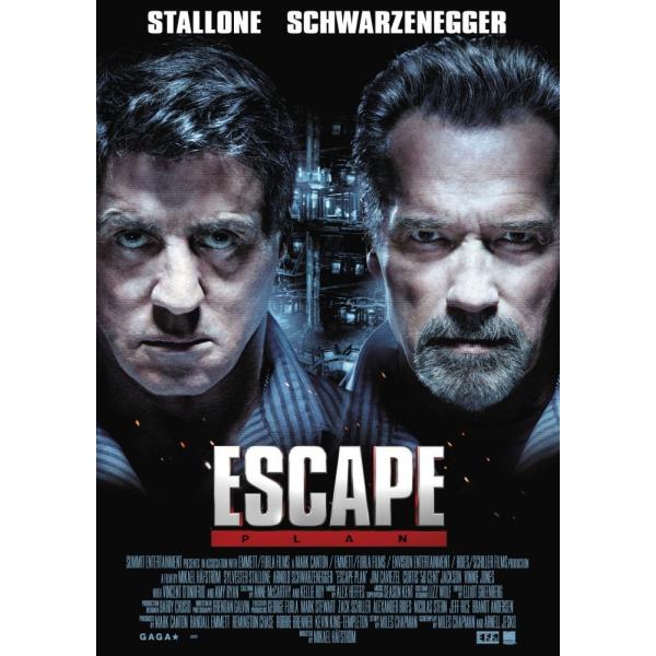 優良配送 廃盤 大脱出 DVD