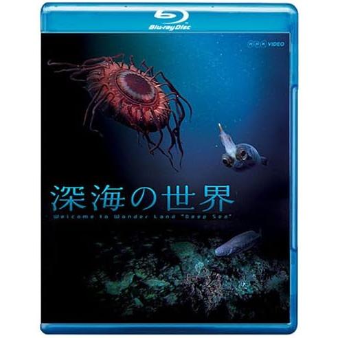 ボーナスストアプラス 10％対象 廃盤 Blu-ray 深海の世界 4988013670440 B0...