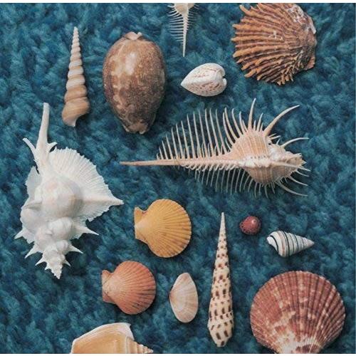 ボーナスストアPlus 10％対象 スピッツ CD CYCLE HIT 1991-1997 Spit...