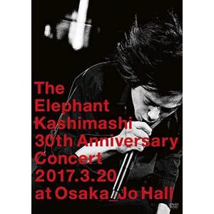 25 years of the fighting men's chronicle 劇場版 エレファント