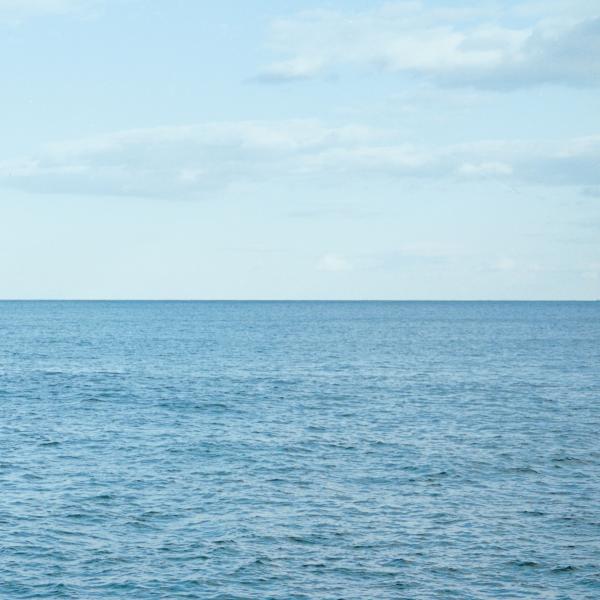 ボーナスストアプラス 10％対象 廃盤 CD RADWIMPS 2+0+2+1+3+1+1= 10 ...