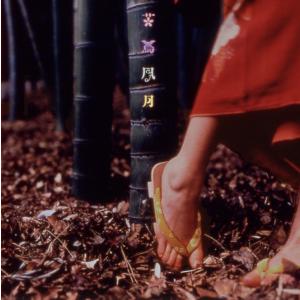 おまけCL付】新品 水原弘大全集 / 水原 弘 (8枚組CD) GSD-8001-JP
