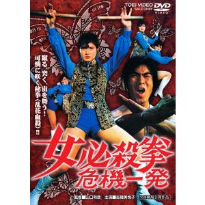 仮面の忍者 赤影 DVD 第4部 魔風篇 2枚組 - 映像と音の友社 : 映像と音