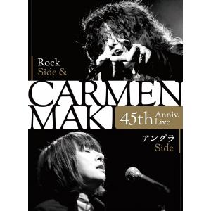 廃盤 平沢進 DVD 架空のソプラノ INTERACTIVE LIVE SHOW SIREN 1996.9