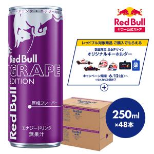公式 レッドブル エナジードリンク グレープエディション 250ml×48本(24本×2ケース) Red Bull 巨峰味 ぶどう味 箱 ギフト redbull 缶 まとめ買い