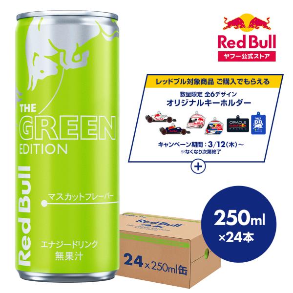 公式 レッドブル エナジードリンク グリーンエディション 250ml×24本(24本×1ケース) R...