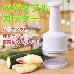 押すだけでみじん切り! プレカット チョッパー H0005 _. : YouShowShop