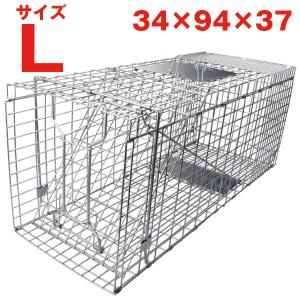 猫 捕獲器 アニマルトラップ 箱罠 くくりわな ...の商品画像