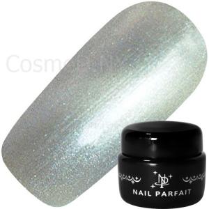 Nail Parfait ネイルパフェ マグネットパールジェル10g S22エマン