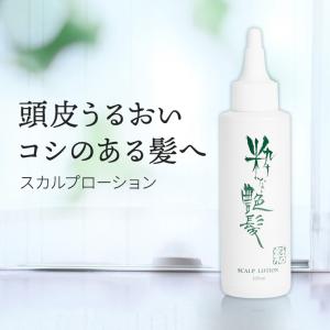 SHISEIDO（資生堂） アウスレーゼ ヘアブローN 180mL 整髪料 : フジ
