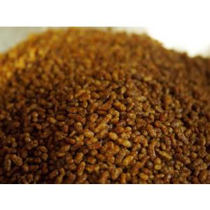 玄米茶の素（玄米茶の玄米のみ）100ｇ×5袋　送料220円
