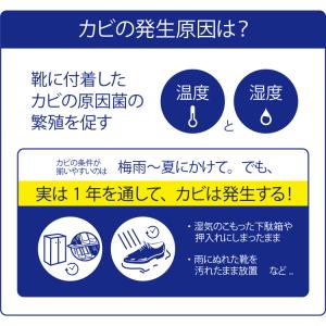 カビ用ミスト レザーキュア プラチナ COLU...の詳細画像2