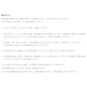 カビ用ミスト レザーキュア プラチナ COLU...の詳細画像5