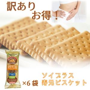 ダイエット 訳あり  1000円 ぽっきり 食品 国産 置き換え