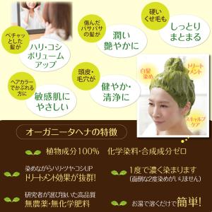 ヘナ オーガニータ ORGANITA ディープ...の詳細画像4