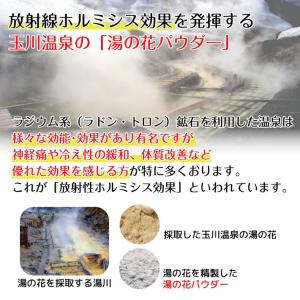 湯の花 テラヘルツ ふくらはぎ サポーター 玉...の詳細画像5