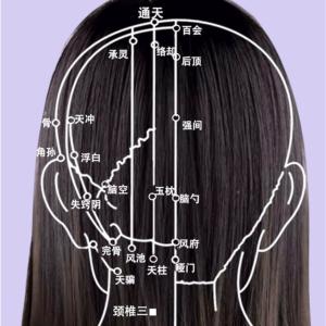 種類1:グリーン/1個 たこ足 頭皮マッサージ...の詳細画像2