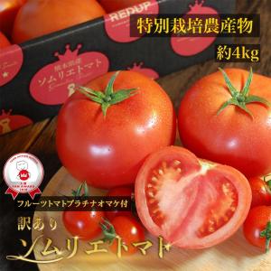 予約　１月下旬から順次発送【特別栽培農産物】＼ 訳あり ／受賞歴３回！ ソムリエ トマト 4〜5kg(18玉〜36玉）(2)のオマケ！ソムリエミニトマト プラチナ