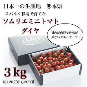 とまと 【極み】 塩トマト のような フルーツ トマト ソムリエ ミニトマト ダイヤ３kg（１２０玉から２００玉）｜redup