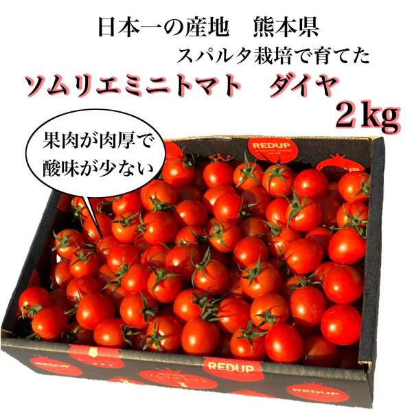 とまと 塩トマト のような フルーツ トマト　ソムリエ ミニトマト ダイヤ２kg（９０玉から１５０玉...
