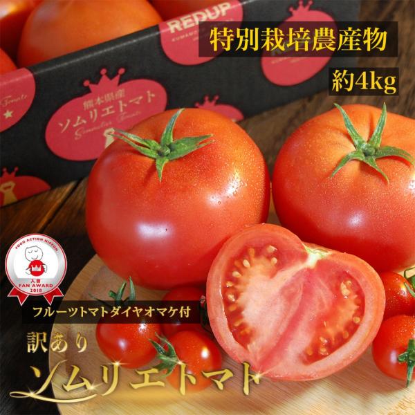 予約　１月下旬から順次発送【特別栽培農産物】＼ 訳あり ／受賞歴３回！ ソムリエ トマト 4〜5kg...