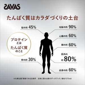 ザバス(SAVAS) プロ ウェイトダウン ヨ...の詳細画像5