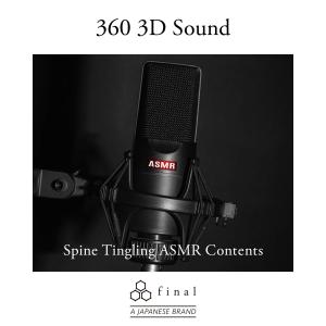 final (ファイナル) E500 カナル型...の詳細画像2