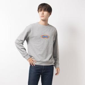 【リーボック公式】クラシック クルース ウェット / CLASSIC SG CREW SWEAT （ミディアムグレーヘザー）｜reebok