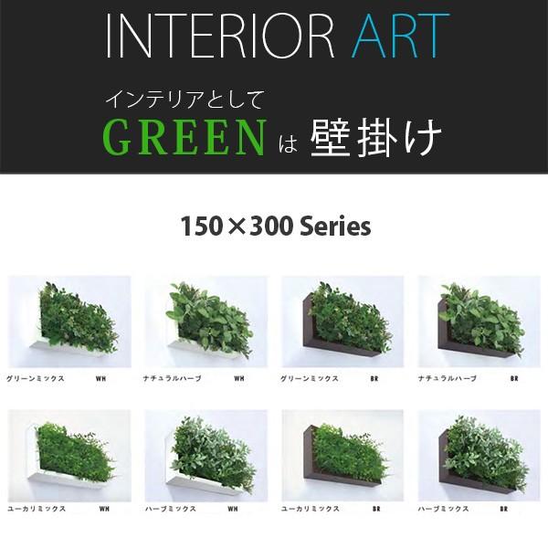 壁掛け グリーン 緑 パネルアート ディスプレイ green 飾る インテリア 観葉植物 壁 おしゃ...