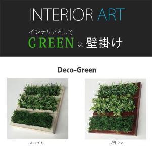 壁掛け グリーン 緑 パネルアート ディスプレイ green 飾る インテリア 観葉植物 壁 おしゃれ モダン カフェ [Deco-Green-L3]｜reech