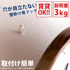 壁掛け フック 穴の目立たない 壁面 壁用 耐荷重3kg