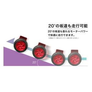 ミニセグウェー KINTONE キントーン オ...の詳細画像5