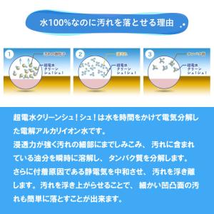 超電水クリーンシュ!シュ!4L 詰替用|超電水...の詳細画像3