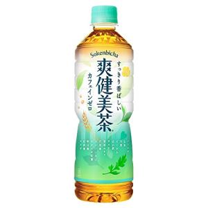爽健美茶 PET ( 600ml×48本入 )/ お茶 ) : 爽快ドラッグ - 通販