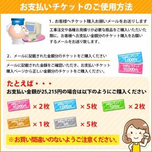 [PAY-TICKET-10] 【10円チケッ...の詳細画像1