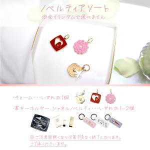 国内正規品 公式ラッピング シャネル ハンドク...の詳細画像2