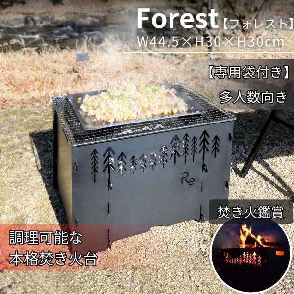 日本製 焚き火台 専用袋付 焚き火観賞 BBQグリル バーベキュー ファミリーサイズ 薪入れ簡単 組...
