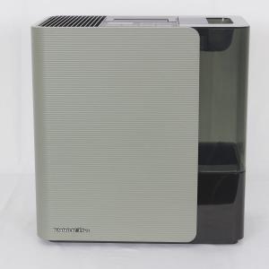 ボーナスストア+5％】BALMUDA Rain ERN-1100SD-WK スタンダードモデル