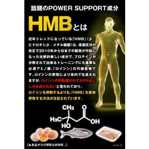 HMB MEGA 3270 154粒 送料無料...の詳細画像3