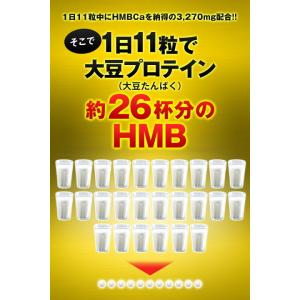 HMB MEGA 3270 154粒 送料無料...の詳細画像4