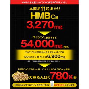 HMB MEGA 3270 154粒 送料無料...の詳細画像5