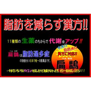 ダイエット 漢方 建林松鶴堂 扁鵲 90包 へ...の詳細画像1